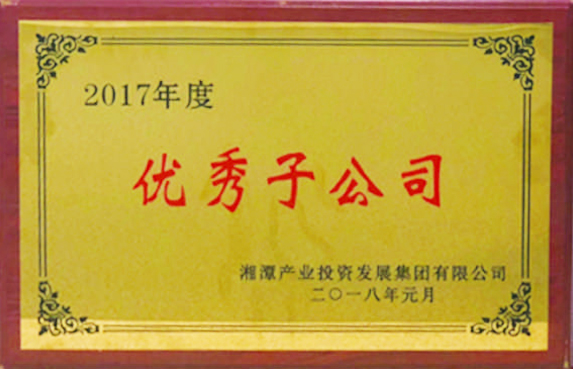 2017年度優(yōu)秀子公司