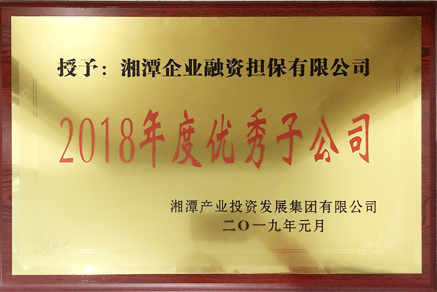 2018年度湘潭產(chǎn)業(yè)集團優(yōu)秀子公司